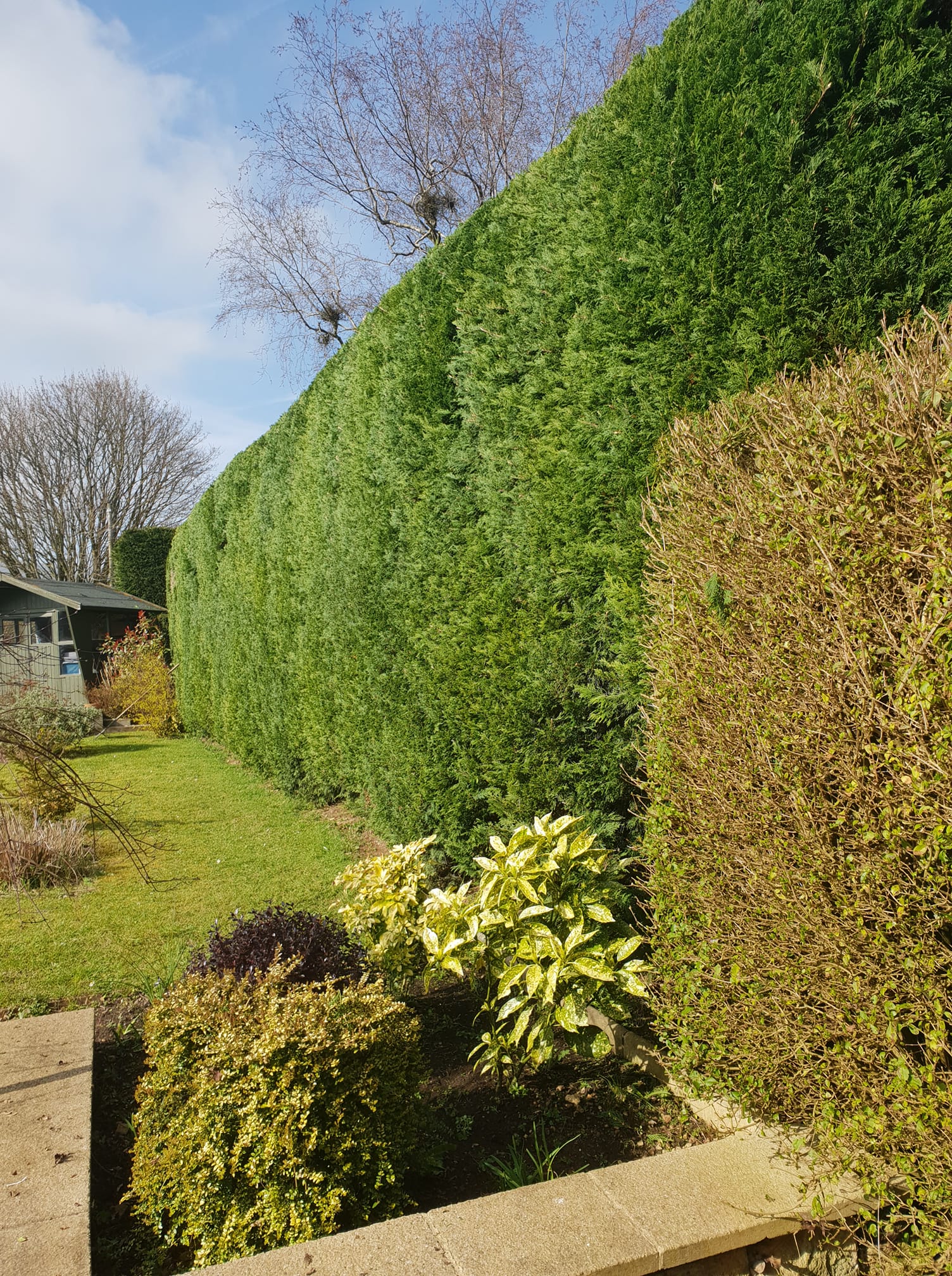 Garden Care