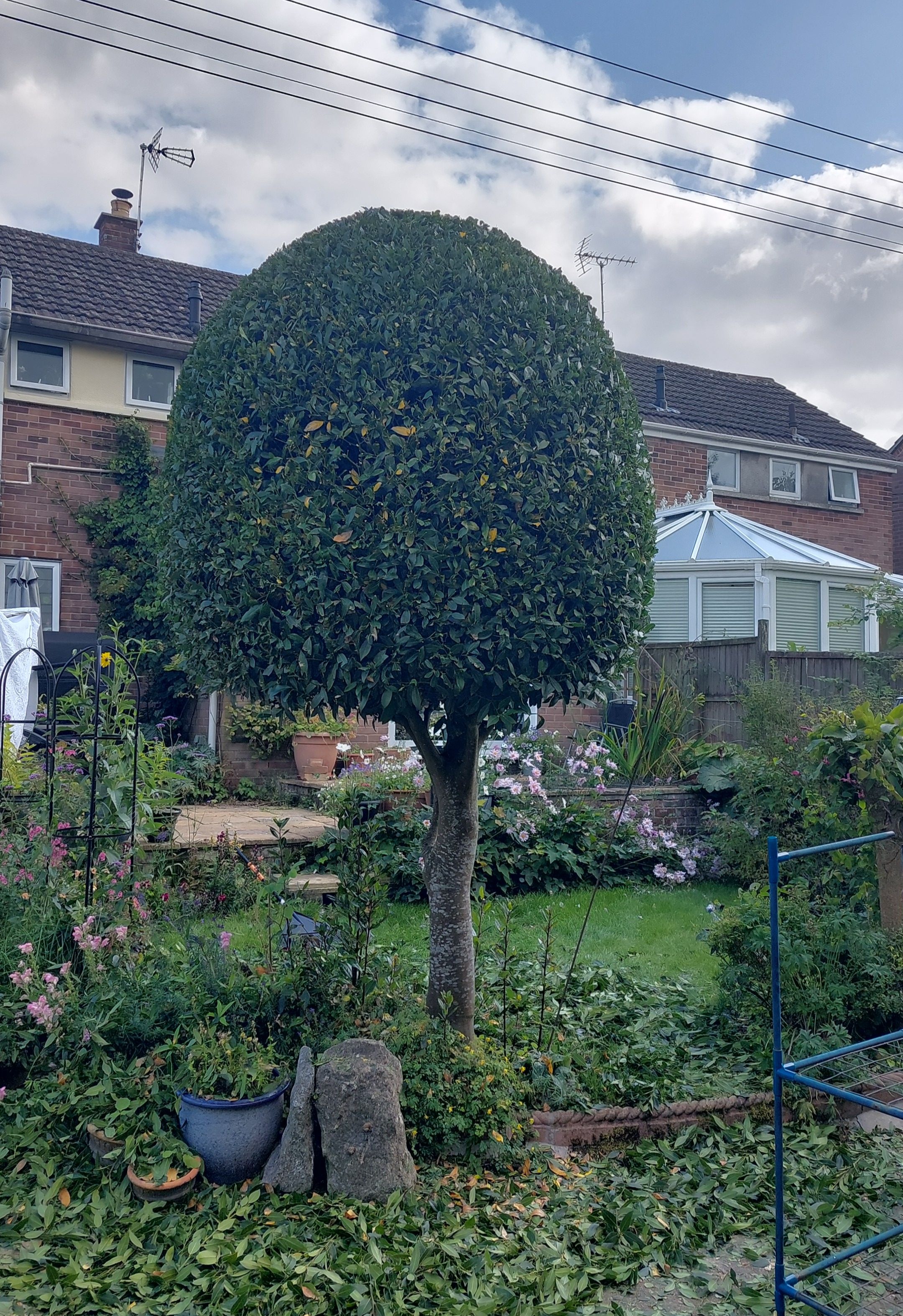 Garden Care